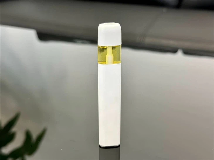 Ceramic in Disposable Vapes
